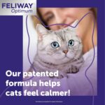 FELIWAY Optimum 3 x 30 Day Cat Calming Refills for Pheromone Diffuser, 3 x 48ml Value Pack - Helps Reduce Common Signs of Stress in Cats & Kittens, Enhanced Calming - Image 3
