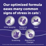 FELIWAY Optimum 3 x 30 Day Cat Calming Refills for Pheromone Diffuser, 3 x 48ml Value Pack - Helps Reduce Common Signs of Stress in Cats & Kittens, Enhanced Calming - Image 6