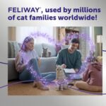 FELIWAY Optimum 3 x 30 Day Cat Calming Refills for Pheromone Diffuser, 3 x 48ml Value Pack - Helps Reduce Common Signs of Stress in Cats & Kittens, Enhanced Calming - Image 7