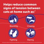 FELIWAY® MultiCat 3 x 30 Day Cat Calming Refills for Pheromone Diffuser, 3 x 48ml Value Pack- Helps Reduce Conflicts and Signs of Tension in Multi-Cat Households - Image 5