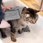 Ritz Premium Embroidered Microfiber Pet Towel (3-Pack), 18" x 28", Highly Absorbent, Fast-Drying, Long-Lasting, Super Soft 80% Polyester and 20% Polyamide Pet Cloth, Grey - Image 6