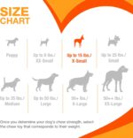 Nylabone Ring Bone Chew Toy for Puppies, Puppy Teething Toys, Puppy Enrichment Toys, Chicken Flavor, X-Small Dogs - Up to 15 lbs, 1 Count - Image 6