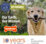 Nylabone Ring Bone Chew Toy for Puppies, Puppy Teething Toys, Puppy Enrichment Toys, Chicken Flavor, X-Small Dogs - Up to 15 lbs, 1 Count - Image 12