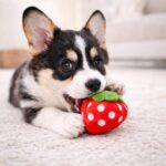 Jalousie 18 Pack Dog Squeaky Toys Cute Stuffed Pet Plush Puppy Chew for Small Medium Pets - Bulk - Image 4