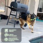 Jalousie 18 Pack Dog Squeaky Toys Cute Stuffed Pet Plush Puppy Chew for Small Medium Pets - Bulk - Image 7