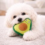 Jalousie 18 Pack Dog Squeaky Toys Cute Stuffed Pet Plush Puppy Chew for Small Medium Pets - Bulk - Image 8