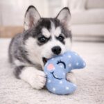 Jalousie 18 Pack Dog Squeaky Toys Cute Stuffed Pet Plush Puppy Chew for Small Medium Pets - Bulk - Image 9