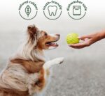 Benebone 4-Pack Ball/Bone/Bacon Wishbone/Fishbone Medium - Image 3