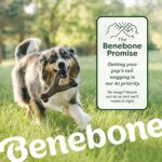 Benebone 4-Pack Ball/Bone/Bacon Wishbone/Fishbone Medium - Image 6