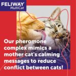 FELIWAY® MultiCat 3 x 30 Day Cat Calming Refills for Pheromone Diffuser, 3 x 48ml Value Pack- Helps Reduce Conflicts and Signs of Tension in Multi-Cat Households - Image 2