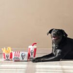 KFC Chicken Box Meal – 3-Piece Dog Toy Set - Chicken Box, French Fries & Soda – Fun Food-Themed Crinkle & Squeaky Interactive Plush Toys for Medium Dogs & Gentle Chewers - Image 4