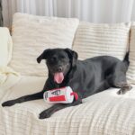 KFC Chicken Box Meal – 3-Piece Dog Toy Set - Chicken Box, French Fries & Soda – Fun Food-Themed Crinkle & Squeaky Interactive Plush Toys for Medium Dogs & Gentle Chewers - Image 6