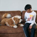 KFC Chicken Box Meal – 3-Piece Dog Toy Set - Chicken Box, French Fries & Soda – Fun Food-Themed Crinkle & Squeaky Interactive Plush Toys for Medium Dogs & Gentle Chewers - Image 13