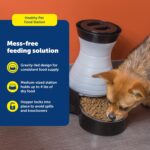 PetSafe Healthy Pet Food Station - Automatic Indoor Gravity Cat & Dog Feeder - Space-Saving Self Feeder - Easy to Clean - Medium - Up to 4 lb Kibble Capacity - Image 3