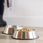 Amazon Basics Stainless Steel Non-Skid Dog Water And Food Bowls, Dishwasher Safe, Rust Resistant, 38oz Capacity, 10 x 2.8 Inches, 2-Pack - Image 7