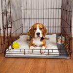 SPOT Stainless Steel Coop Cup with Wire Hooks – Durable, Chew-Resistant Food/Water Bowl for Cages & Crates, Easy Install & Removable, for Cats, Dogs, Birds & Reptiles - 20 Oz (2.5 Cups) - Image 4