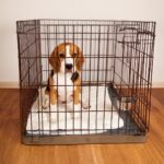 SPOT Stainless Steel Coop Cup with Wire Hooks – Durable, Chew-Resistant Food/Water Bowl for Cages & Crates, Easy Install & Removable, for Cats, Dogs, Birds & Reptiles - 20 Oz (2.5 Cups) - Image 5