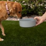 Loving Pets - Dolce Bamboo - Eco-Friendly Pet Bowls & Dishes for Dog, Cats, Puppy Food and Water Dish -Sustainable and Dishwasher Safe, Made with Real Bamboo (Large, Slate-Grey) - Image 4