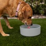 Loving Pets - Dolce Bamboo - Eco-Friendly Pet Bowls & Dishes for Dog, Cats, Puppy Food and Water Dish -Sustainable and Dishwasher Safe, Made with Real Bamboo (Large, Slate-Grey) - Image 5